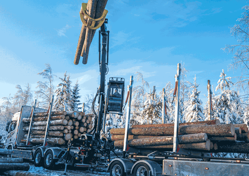 Exte Bjursas 20221215 EOG 0396 Sq