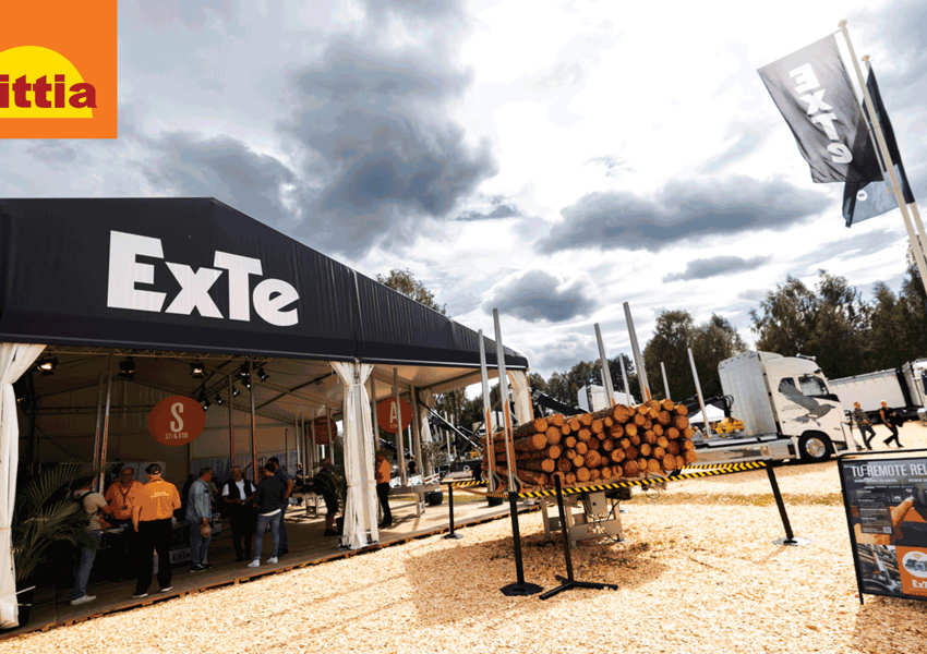 EXTE MAG SVPI0643